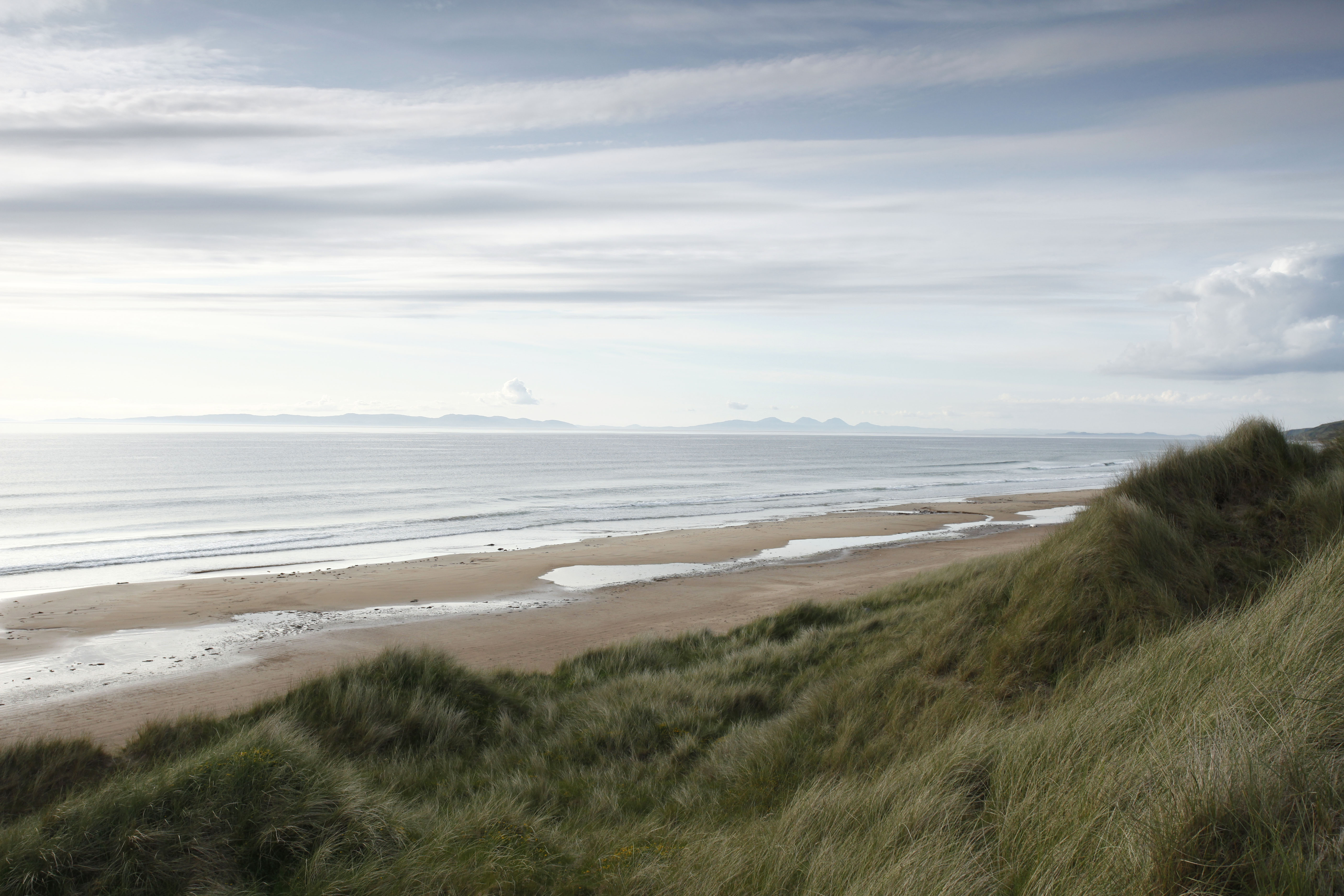 Media Image